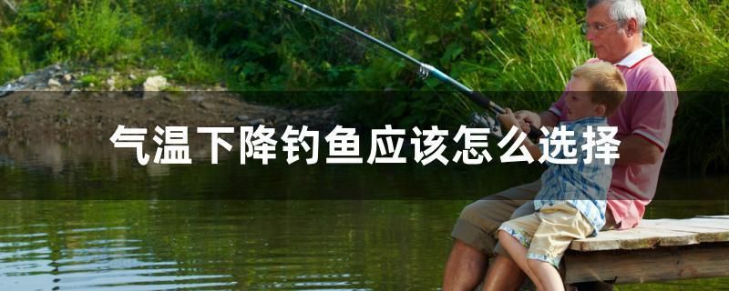 氣溫下降釣魚應(yīng)該怎么選擇