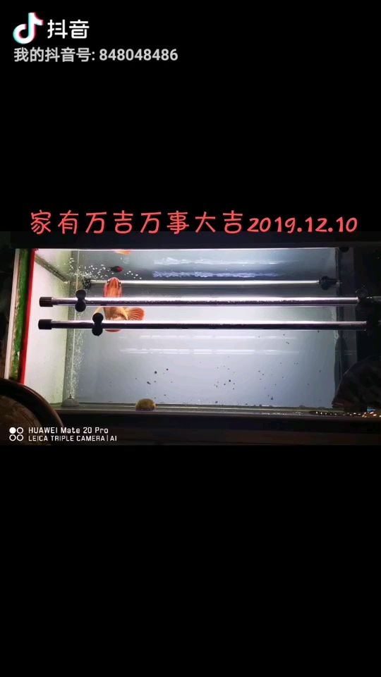 吉安縣水族魚(yú)缸批發(fā)市場(chǎng)電話多少號(hào)碼（吉安市水產(chǎn)品批發(fā)市場(chǎng)在哪里） 其他品牌魚(yú)缸