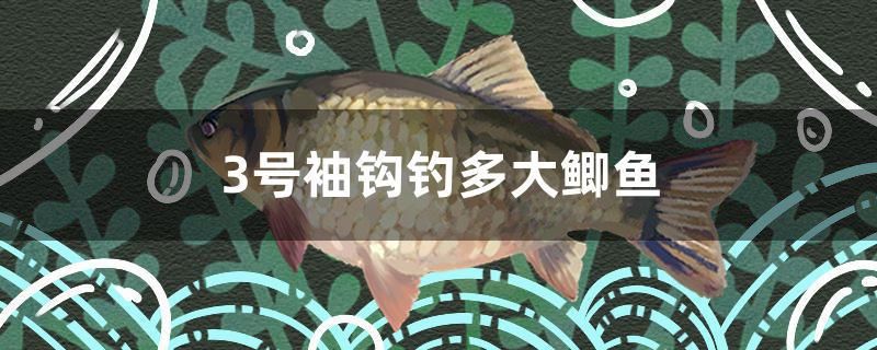 3號(hào)袖鉤釣多大鯽魚