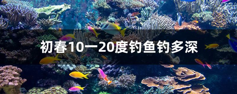 初春10一20度釣魚釣多深