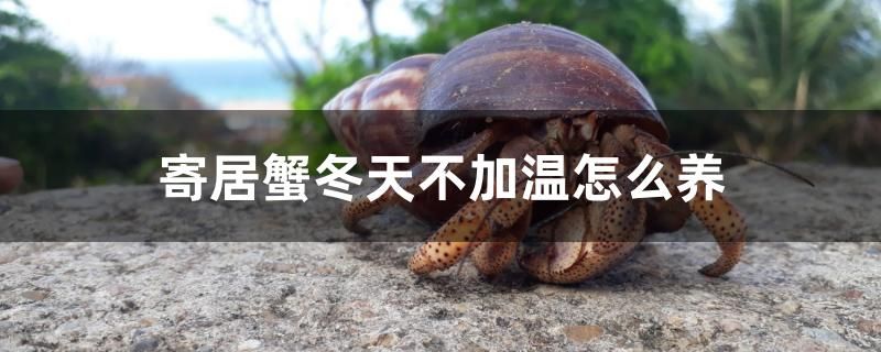 各種魚缸價(jià)錢一樣嗎視頻（魚缸的樣式和價(jià)格）