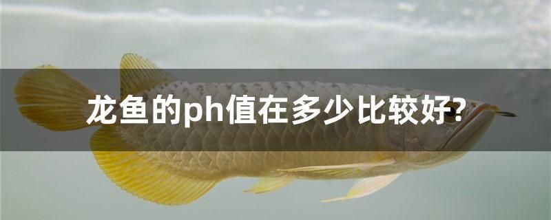 龍魚的ph值在多少比較好？ 和尚魚