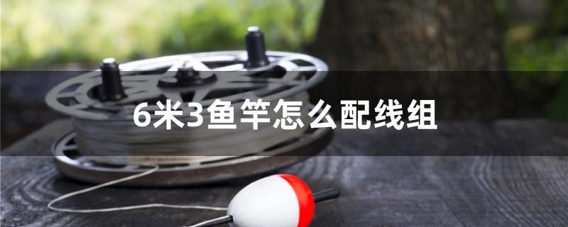 6米3魚竿怎么配線組