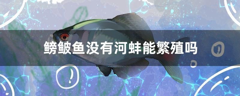 鳑鲏?mèng)~沒有河蚌能繁殖嗎 黑云魚