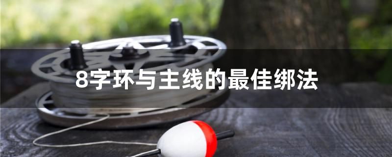 8字環(huán)與主線的最佳綁法 黃鰭鯧魚