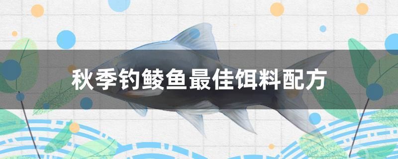 秋季釣鯪魚最佳餌料配方