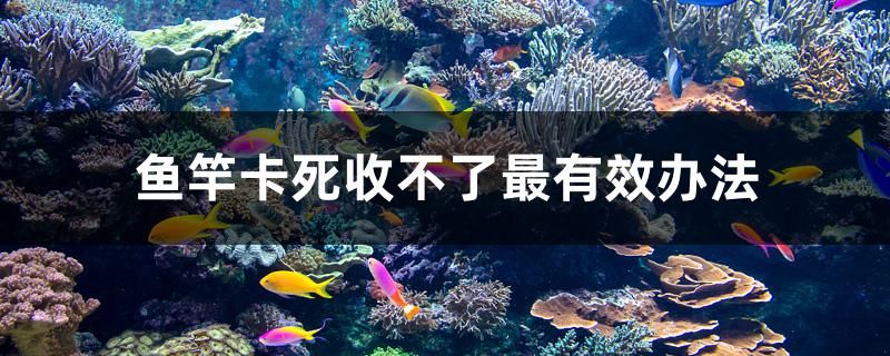 金魚缸用什么過濾材料最好最安全（魚缸過濾器掛壁的好還是下沉的好）