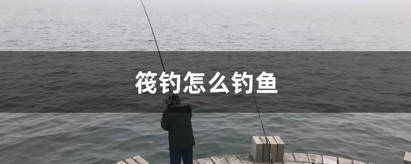 什么樣的紅龍魚最好看又好養(yǎng)（什么樣的紅龍魚最好看又好養(yǎng)活） 南美異型魚