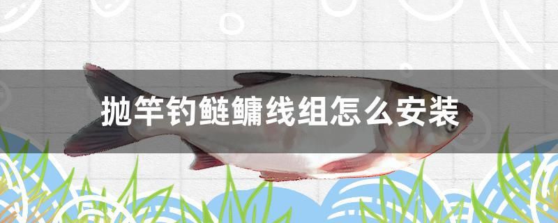 拋竿釣鰱鳙線組怎么安裝 白子關(guān)刀魚