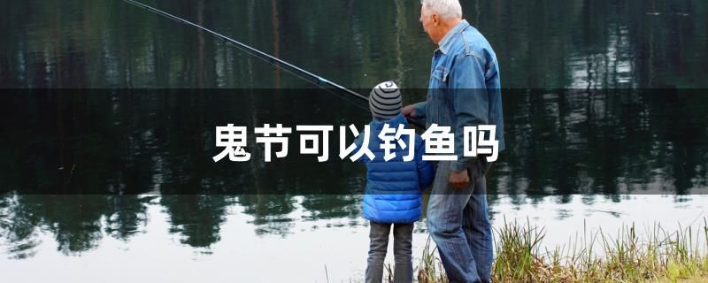 鬼節(jié)可以釣魚嗎 觀賞龜/鱉飼料