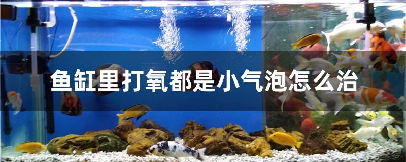 魚缸里打氧都是小氣泡怎么治