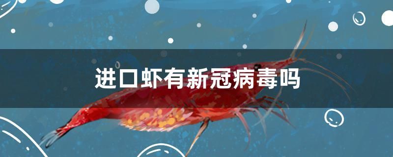 進(jìn)口蝦有新冠病毒嗎 錦鯉魚