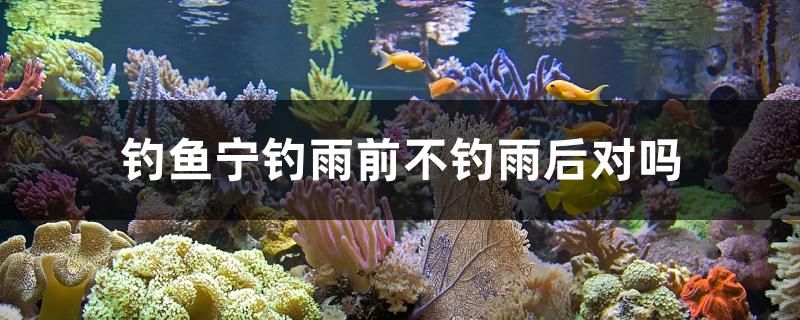 釣魚寧釣雨前不釣雨后對嗎 殺菌消毒設(shè)備