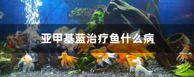 亞甲基藍治療魚什么病