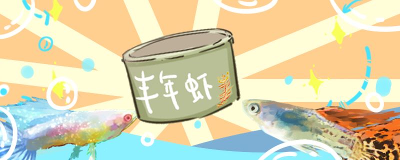 孔雀魚喂什么飼料好不吃食怎么辦