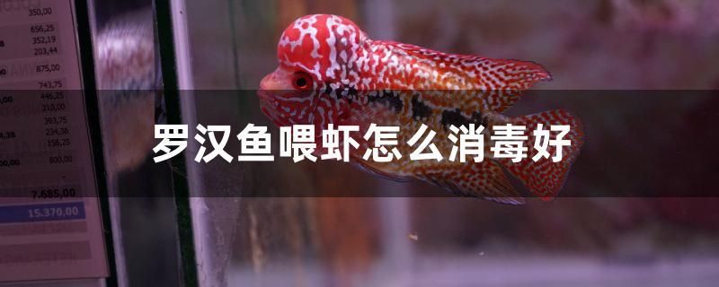 魚缸造景什么材料好 魚缸造景什么材料好些 大日玉鯖魚 第2張