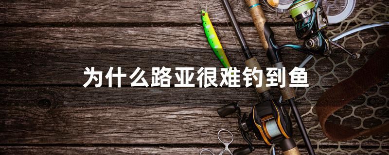 為什么路亞很難釣到魚 除藻劑