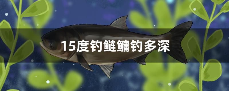 15度釣鰱鳙釣多深 潛水泵