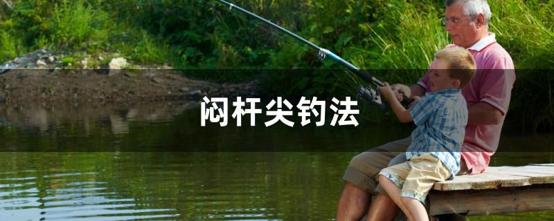 悶桿尖釣法 龍魚批發(fā)