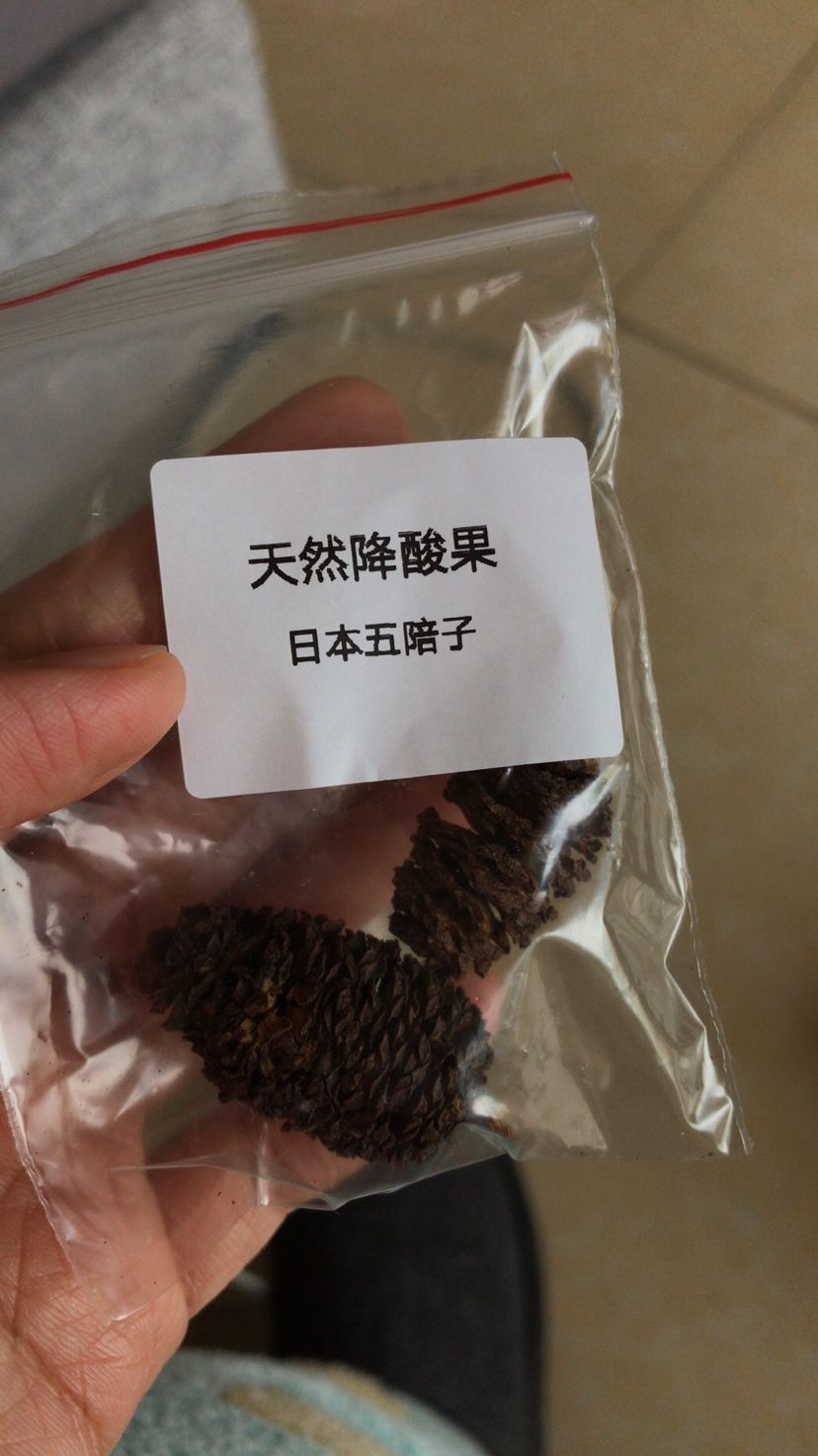 好東西分享 觀賞魚論壇 第1張