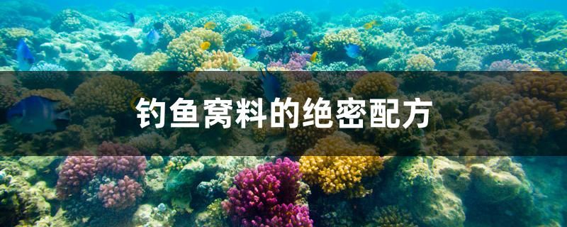 釣魚窩料的絕密配方 祥龍魚場品牌產(chǎn)品