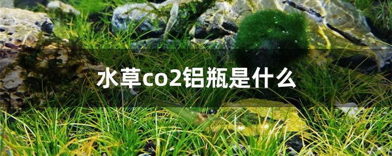 水草co2鋁瓶是什么