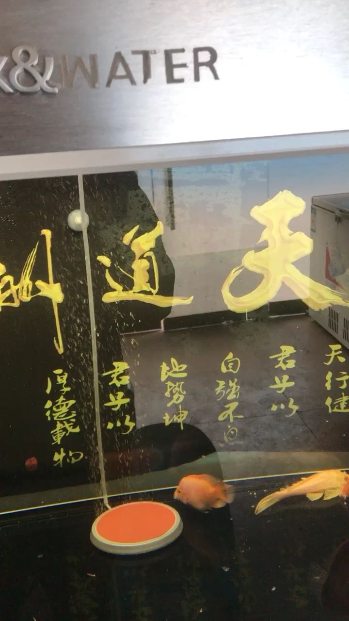 小型魚缸循環(huán)過濾水泵怎么工作使用（威樂w9循環(huán)水泵設置說明） 福滿鉆魚 第2張