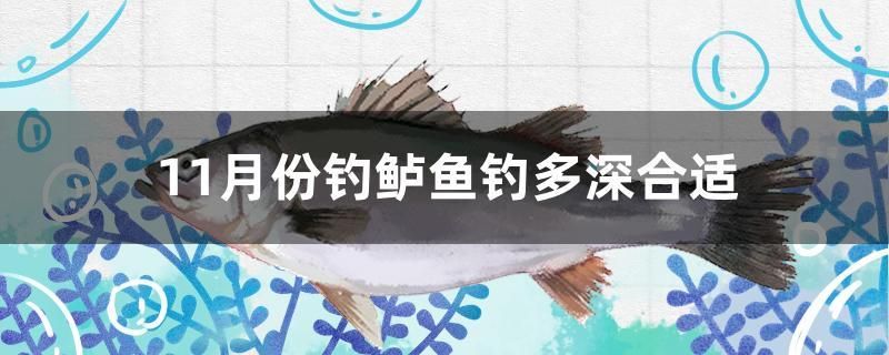 11月份釣鱸魚釣多深合適