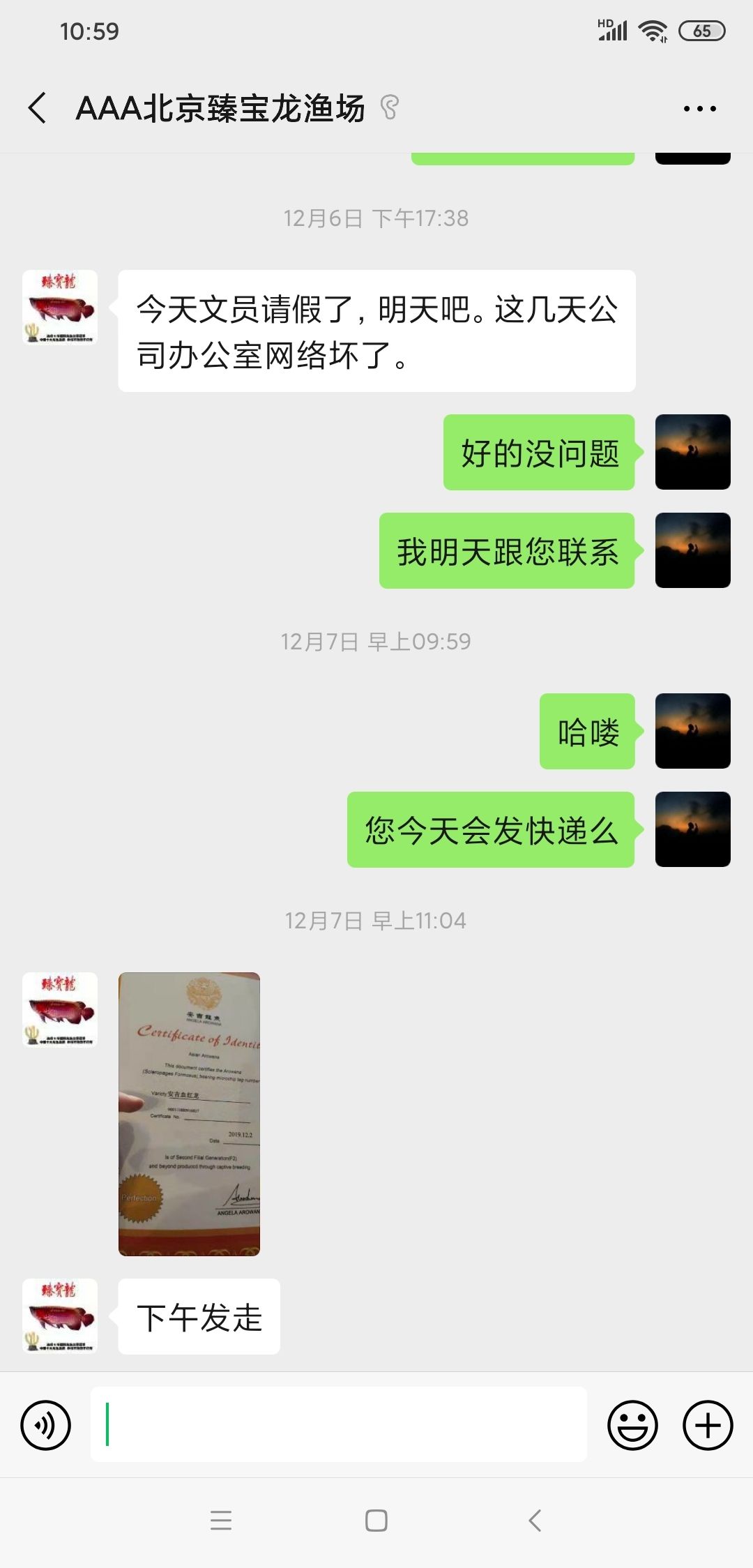 新手必看！臻寶龍后續(xù)篇！正義始終存在！ 觀賞魚論壇 第7張