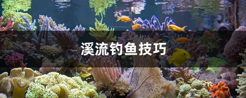 溪流釣魚技巧