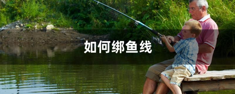 如何綁魚線