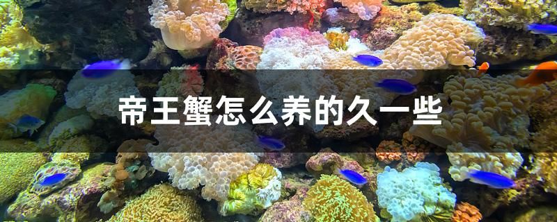 新疆男子發(fā)現(xiàn)魚缸視頻播放器（新疆男子發(fā)現(xiàn)魚缸視頻播放器下載） 刀魚魚