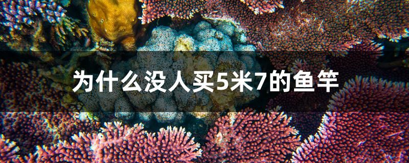 海水魚缸ph值多少為正常（海缸ph高） 魚缸水泵 第2張