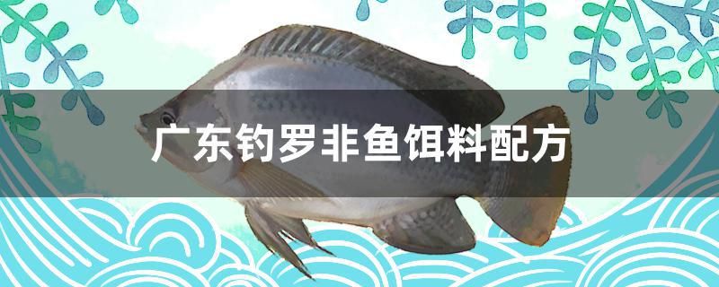 廣東釣羅非魚餌料配方