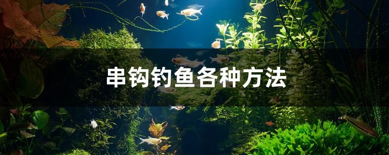 串鉤釣魚各種方法 祥龍超血紅龍魚