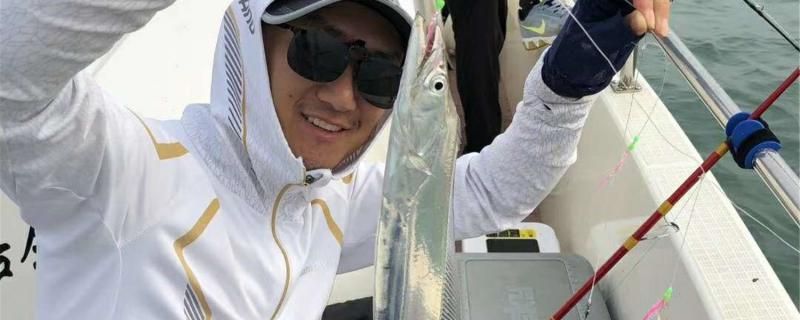 近海釣魚用什么線組用什么魚餌