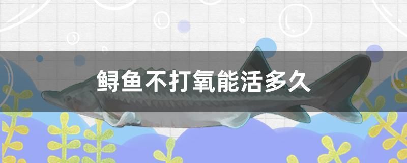 鱘魚(yú)不打氧能活多久