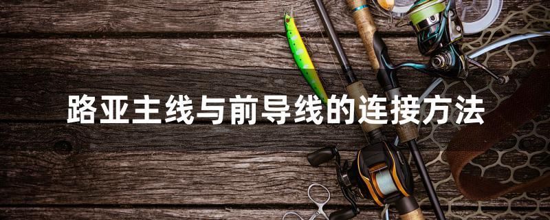 路亞主線與前導(dǎo)線的連接方法 白條過背金龍魚