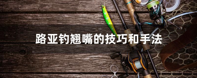 路亞釣翹嘴的技巧和手法 觀賞魚批發(fā)