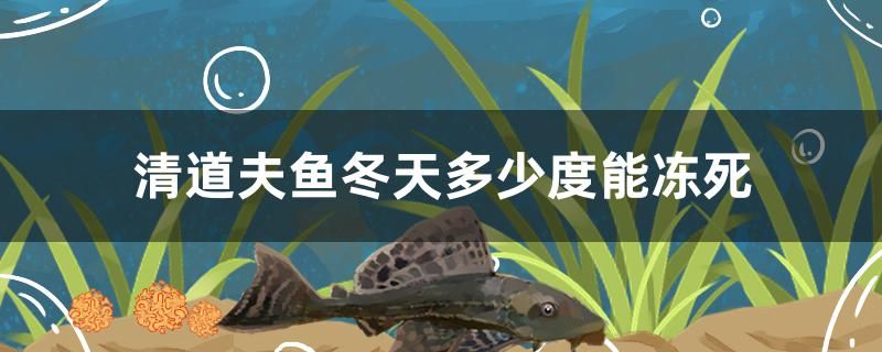 清道夫魚冬天多少度能凍死