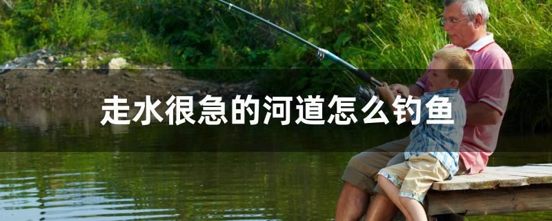 走水很急的河道怎么釣魚 魚缸清潔用具