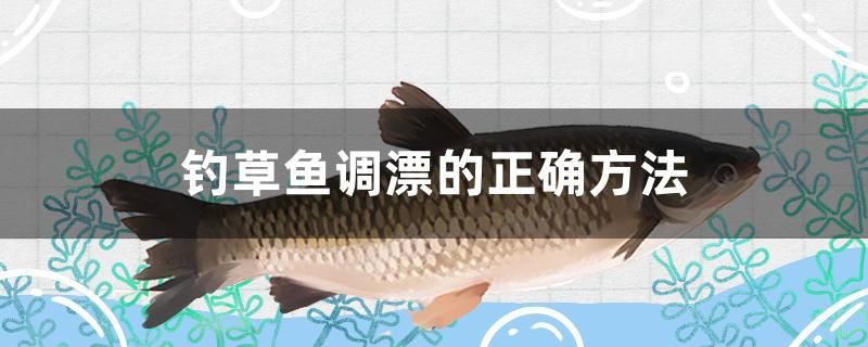 釣草魚調漂的正確方法 羽毛刀魚苗