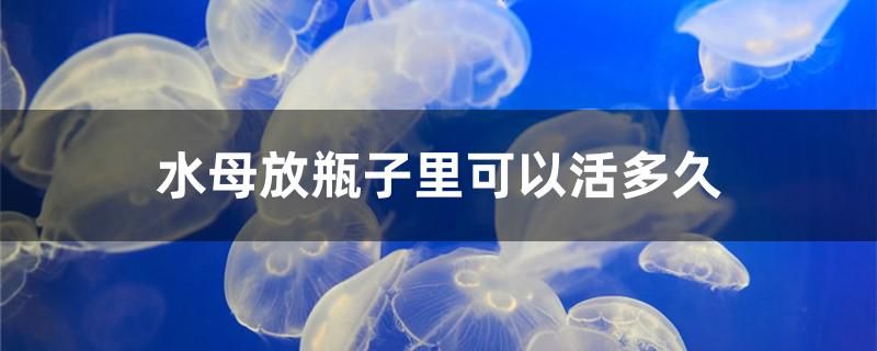 水母放瓶子里可以活多久