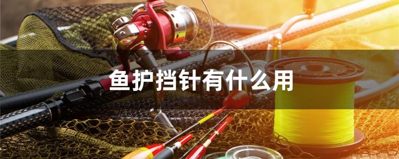 魚護(hù)擋針有什么用 虎魚魚苗