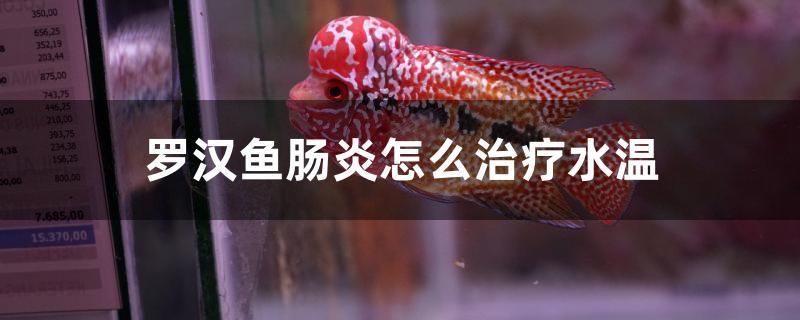 羅漢魚腸炎怎么治療水溫 赤焰中國虎魚