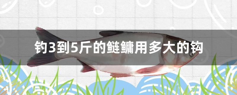 釣3到5斤的鰱鳙用多大的鉤 泰龐海鰱魚