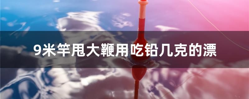 9米竿甩大鞭用吃鉛幾克的漂