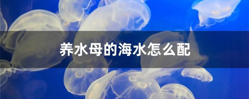 養(yǎng)水母的海水怎么配 蝴蝶鯉