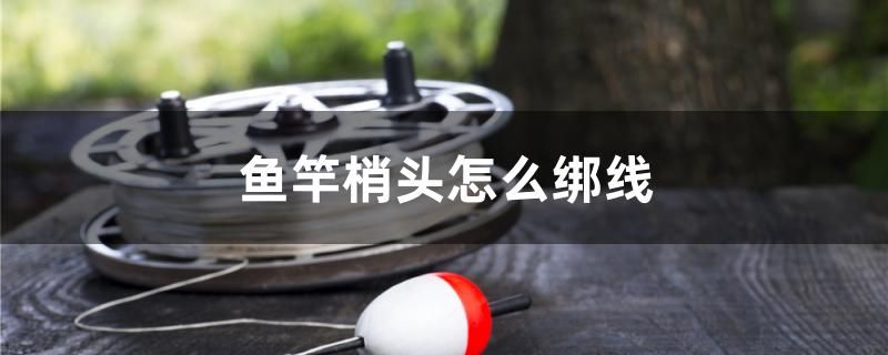 魚竿梢頭怎么綁線