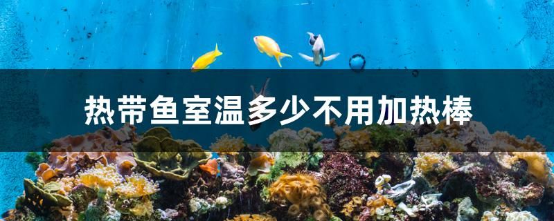 熱帶魚室溫多少不用加熱棒